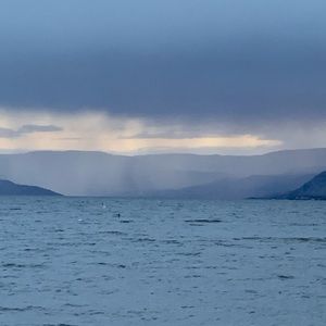 Meet your Posher, Ben